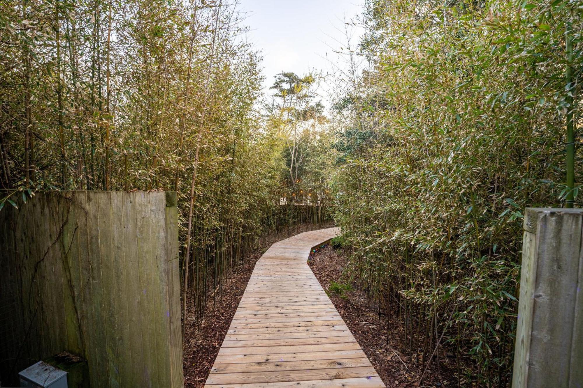 The Madison Fire Island Pines Ξενοδοχείο Εξωτερικό φωτογραφία